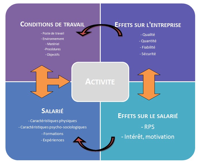 ergonomie et activité de l'entreprise adéquation salariés et environnement