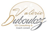 vdconsulting